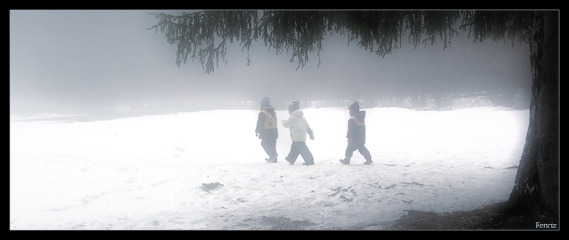 photo "About gnomikus" tags: genre, 