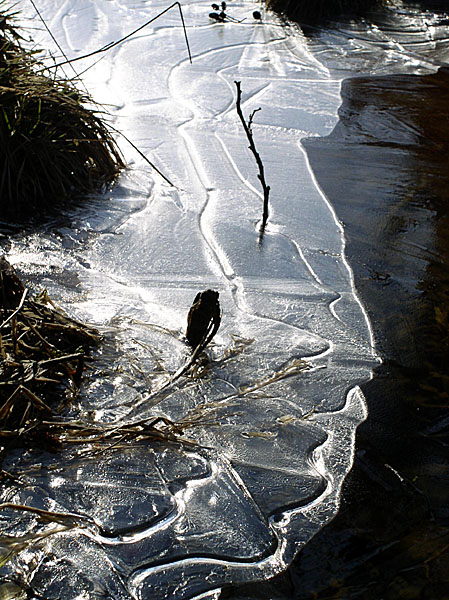 photo "Spring crystal" tags: landscape, spring, water