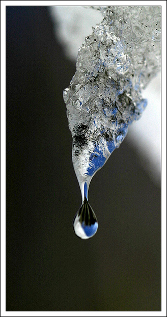 photo "Drop" tags: misc., 