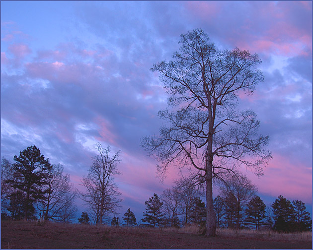 photo "Taller than All" tags: landscape, clouds, sunset