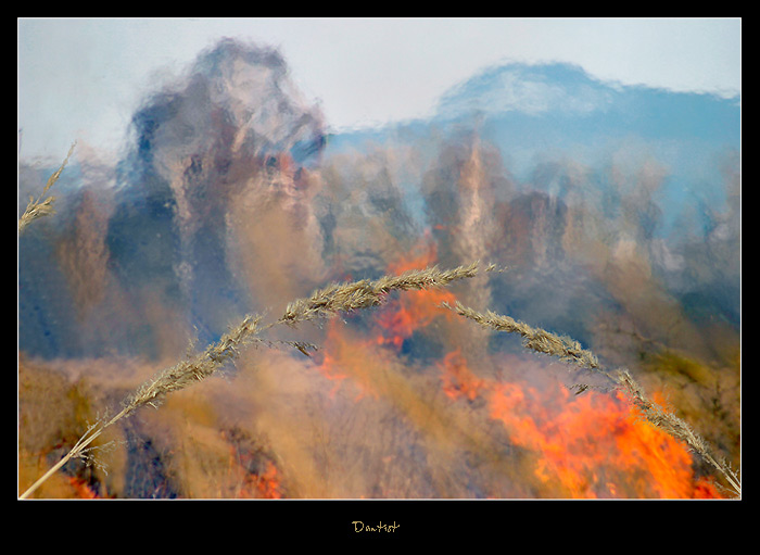 фото "Акварель огнём" метки: пейзаж, весна, лес