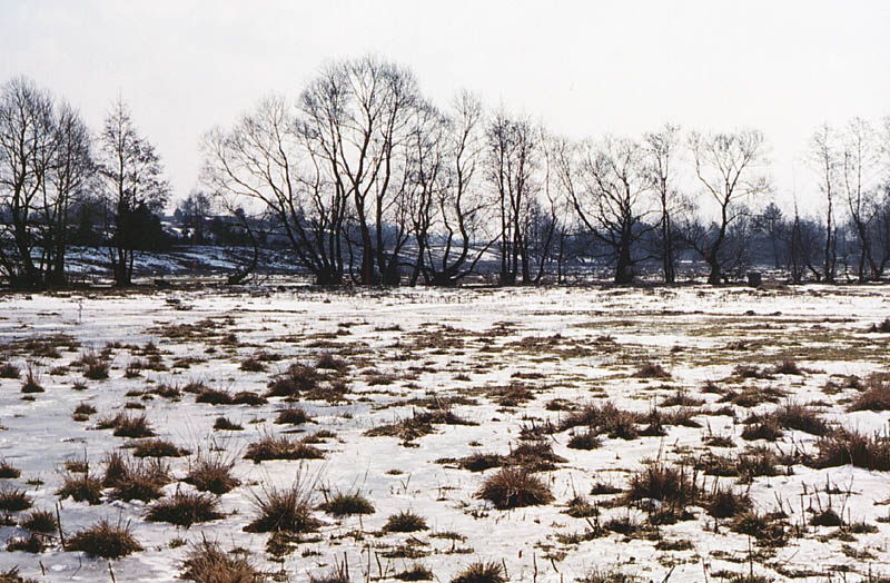 фото "Остатки зимы" метки: пейзаж, весна