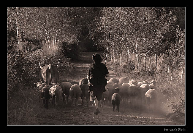 фото "The shepherd" метки: портрет, жанр, 