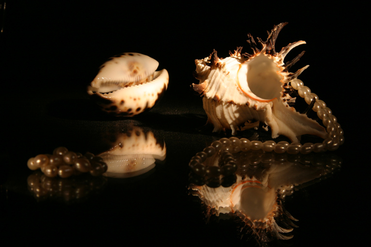 photo "Gifts of the sea" tags: still life, 