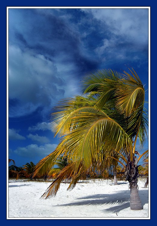 photo "On far islands" tags: landscape, clouds, summer