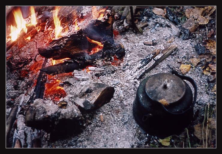 photo "Tea works. (1)" tags: travel, 