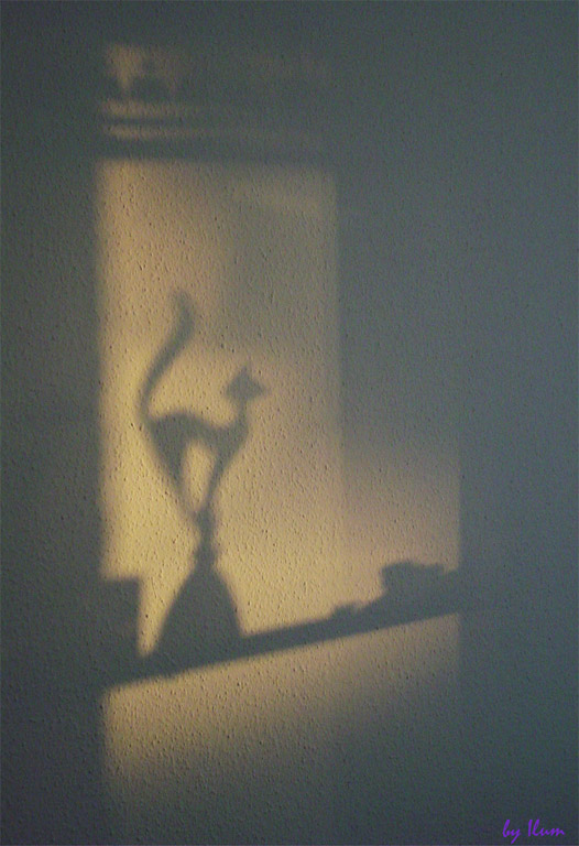 photo "Shadow" tags: misc., 