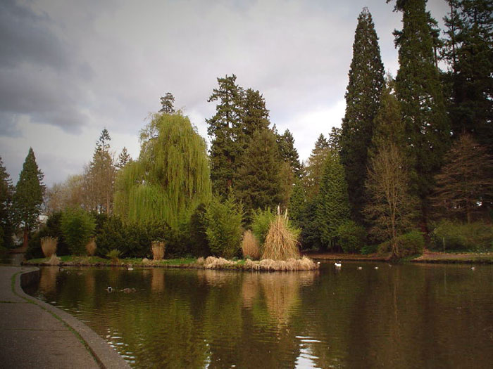фото "**In the park**" метки: пейзаж, вода, лес