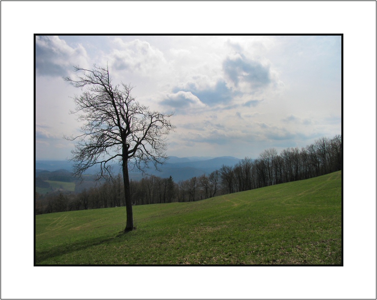 photo "Loneliness" tags: landscape, spring