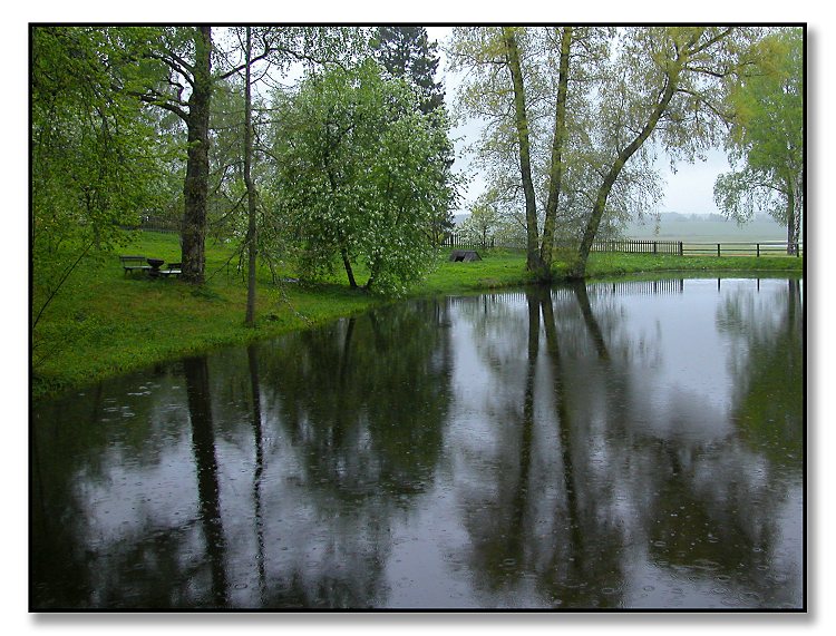 photo "Rain and moods..." tags: misc., 