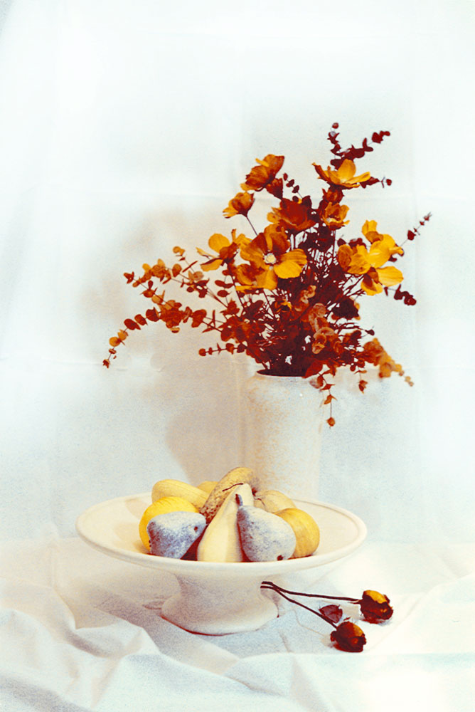 photo "studio" tags: still life, montage, 