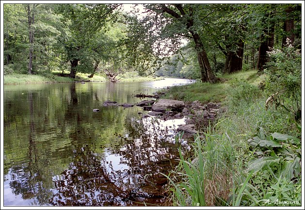 фото "На берегу очень тихой реки" метки: пейзаж, вода, лес