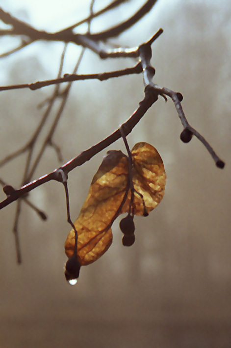 photo "Untitled photo" tags: misc., 