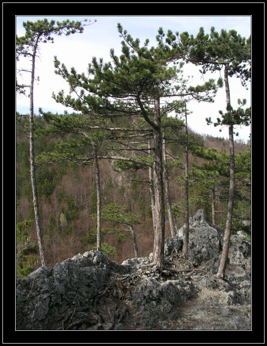 фото "* * *" метки: пейзаж, горы, лес