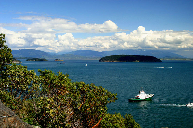 photo "Bay View" tags: landscape, clouds, water