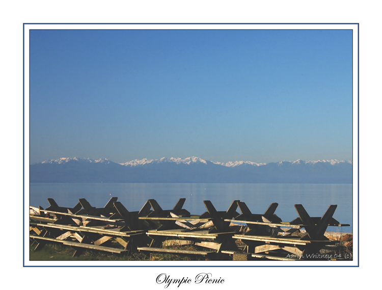 photo "Olympic Picnic" tags: landscape, mountains, water