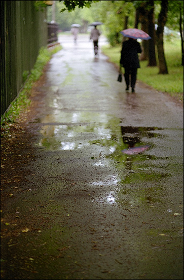 photo "Solving in the rain" tags: genre, 