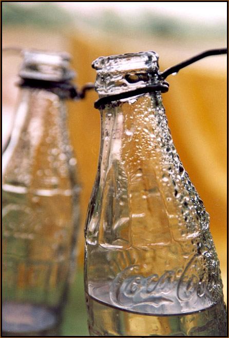 фото "Thirst..." метки: натюрморт, макро и крупный план, 
