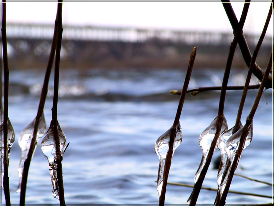 photo "Tears of old winter" tags: nature, landscape, water