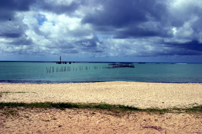 photo "Macayo (Brasil)" tags: travel, landscape, South America, summer