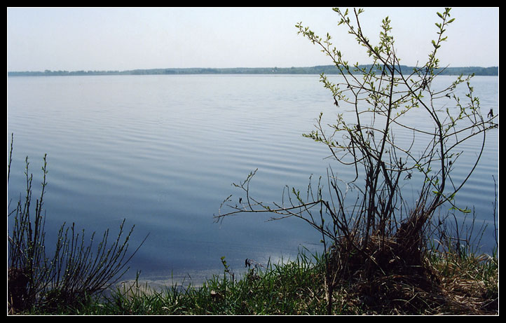 photo "Volga`s morning #1" tags: landscape, summer, water