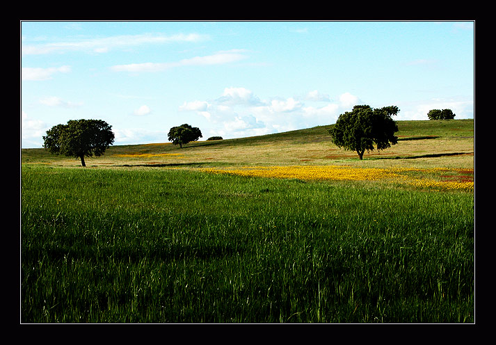 фото "spring nuances" метки: разное, пейзаж, весна