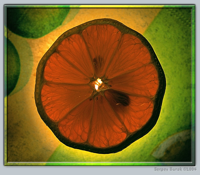 photo "Untitled photo" tags: still life, abstract, 