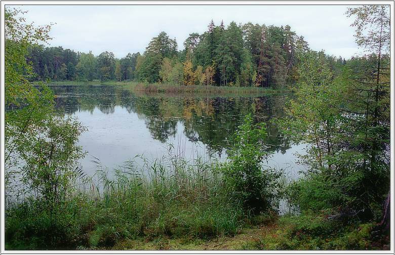 photo "Autumn etude" tags: landscape, autumn, forest