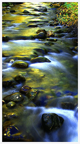 фото "Rocks in the flowing creek" метки: природа, 