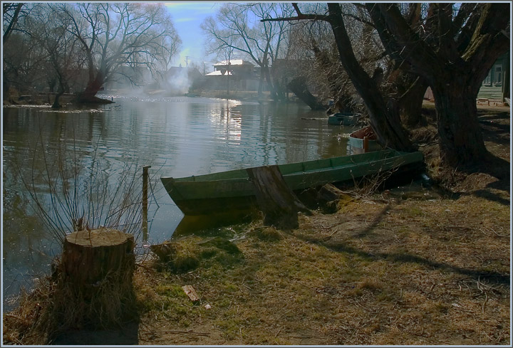 photo "Spring romance" tags: genre, nature, 