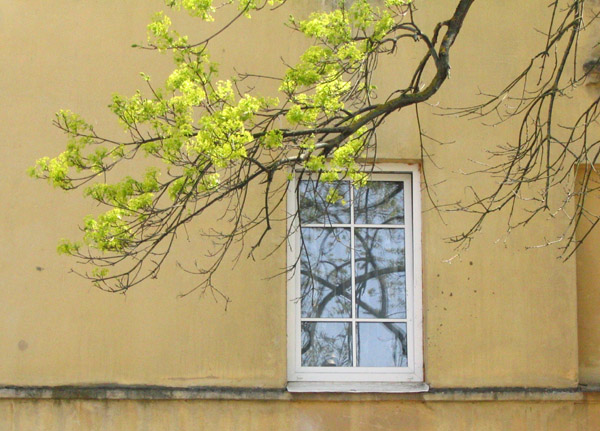 photo "window" tags: misc., 