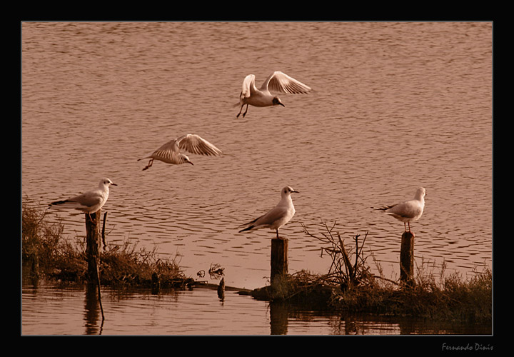 photo "2 + 3" tags: nature, wild animals