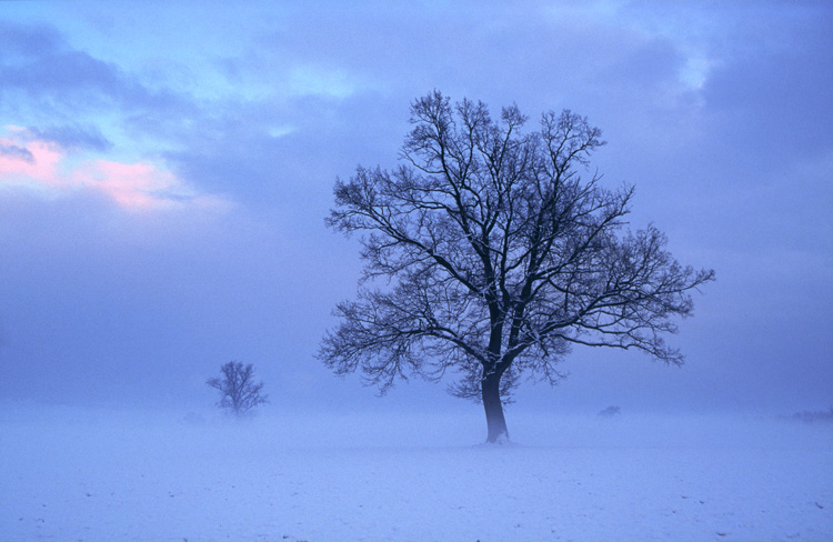 photo "Fog" tags: landscape, sunset, winter
