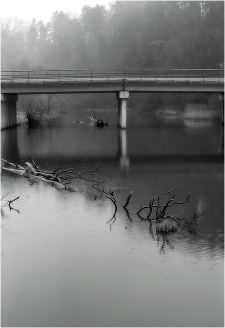 photo "Just Rain" tags: black&white, landscape, water