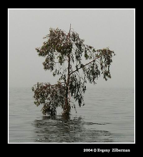photo "Early morning" tags: landscape, water
