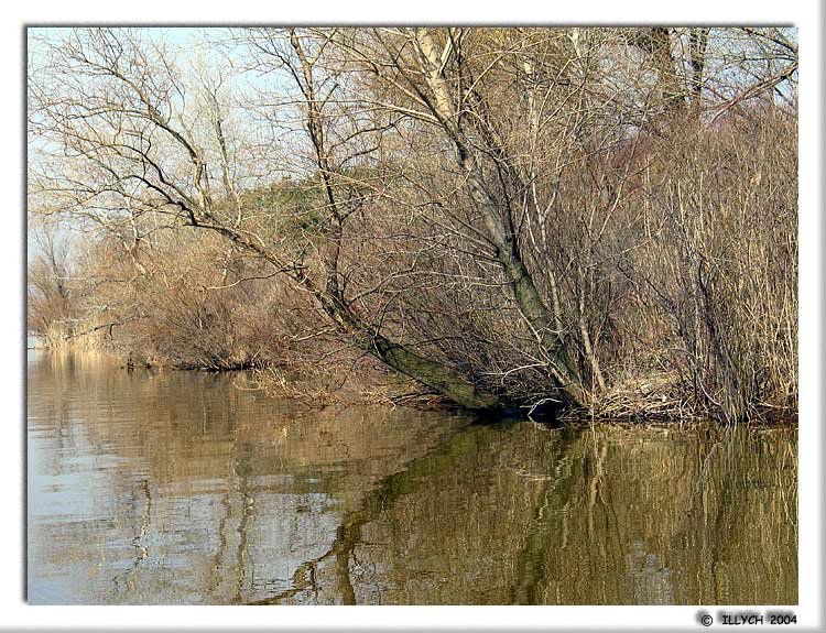 photo "and having concealed breath... #4" tags: landscape, nature, water