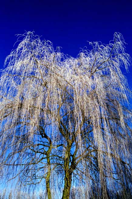 фото "winter.3" метки: разное, пейзаж, зима