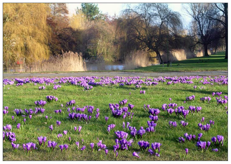 фото "Spring" метки: разное, 