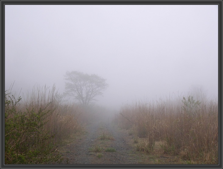 фото "lost way" метки: пейзаж, весна