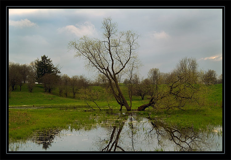 фото "Мокрая весна" метки: пейзаж, весна, вода