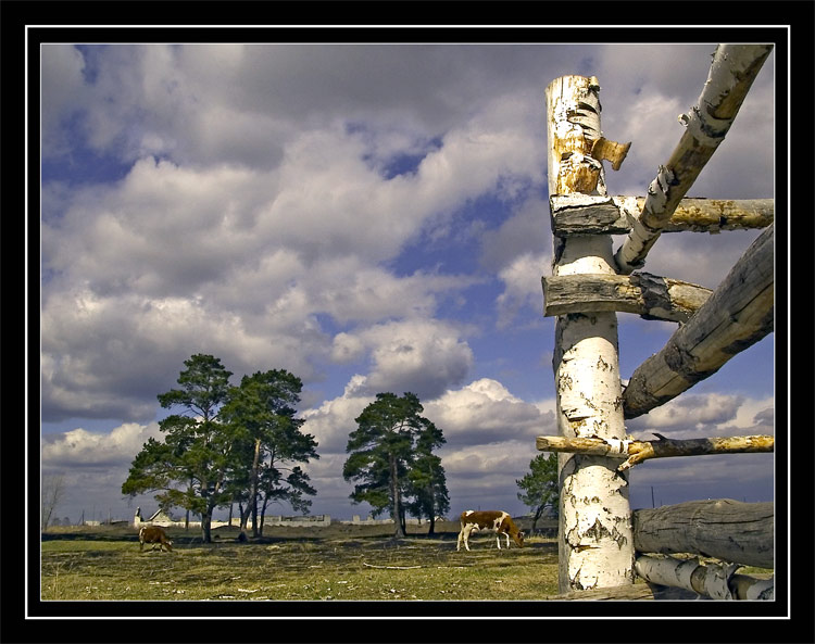 photo "May" tags: misc., landscape, spring