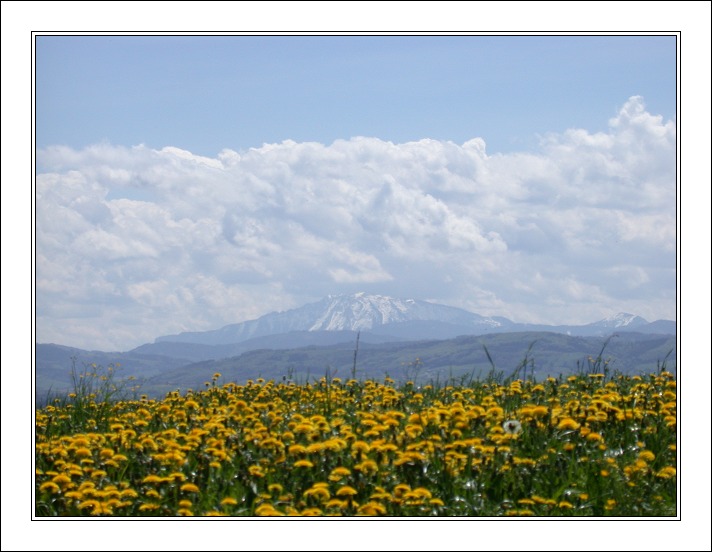 фото "Fields And Mountains" метки: пейзаж, весна, горы