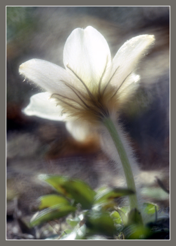 photo "***" tags: misc., 