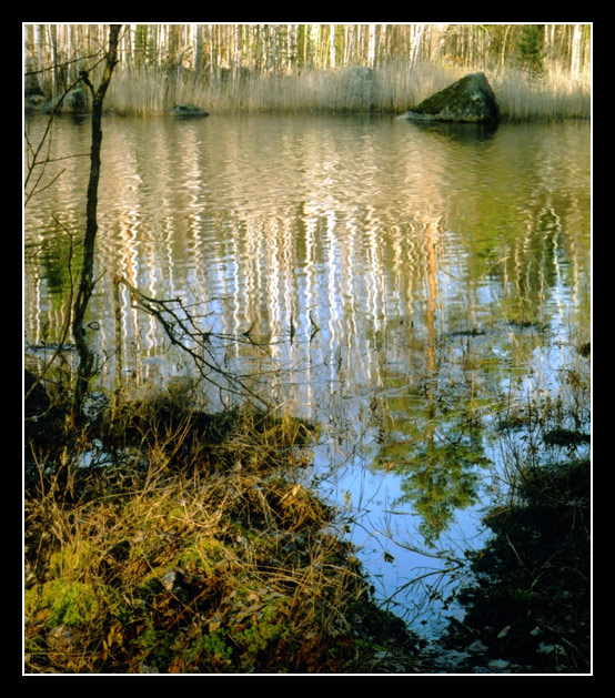 photo "***" tags: landscape, spring, water