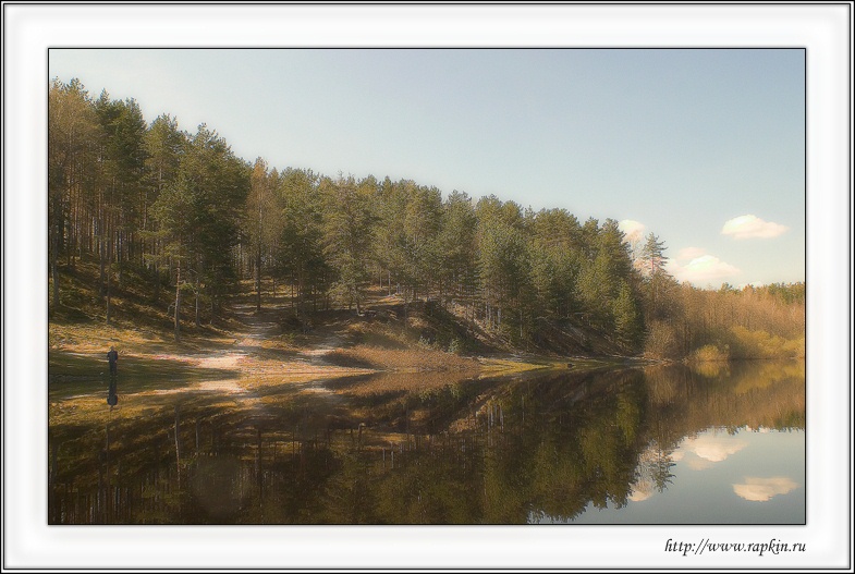 photo "About the river" tags: landscape, forest, summer