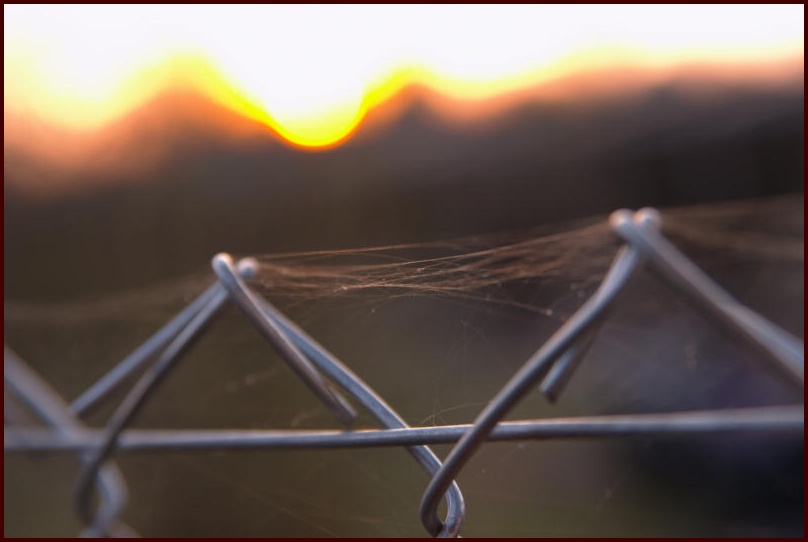 photo "Trap for the sun" tags: landscape, macro and close-up, sunset