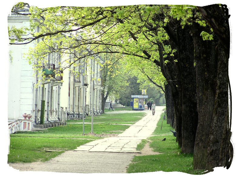 photo "Spring morning" tags: reporting, 