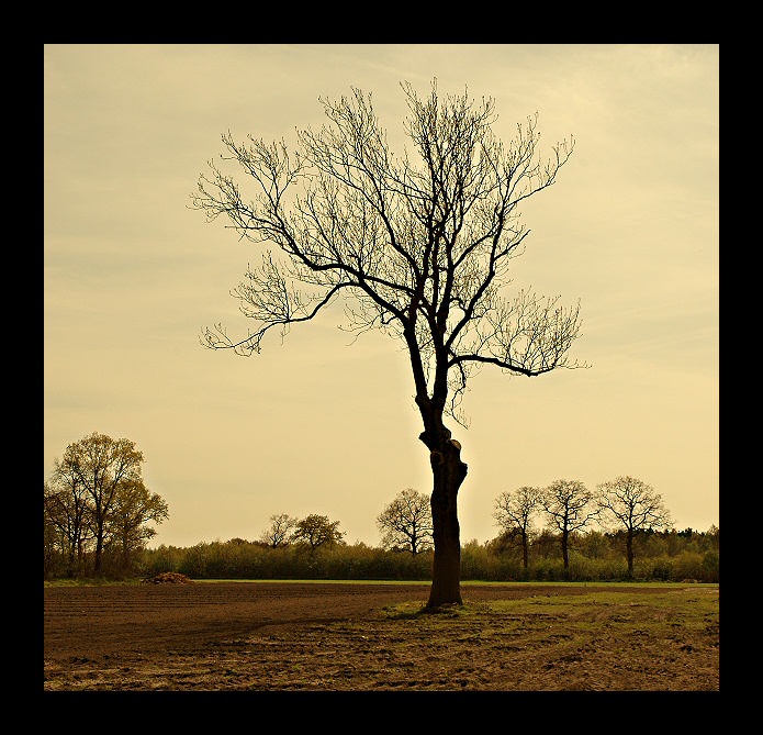 photo "LONELINESS" tags: travel, landscape, Europe