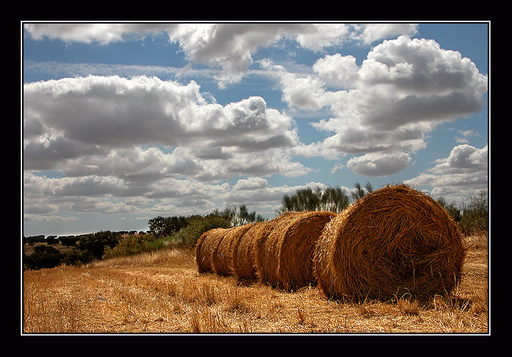 фото "straw colours" метки: разное, пейзаж, лето