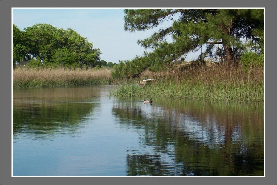 photo "Quiet creek" tags: landscape, nature, summer